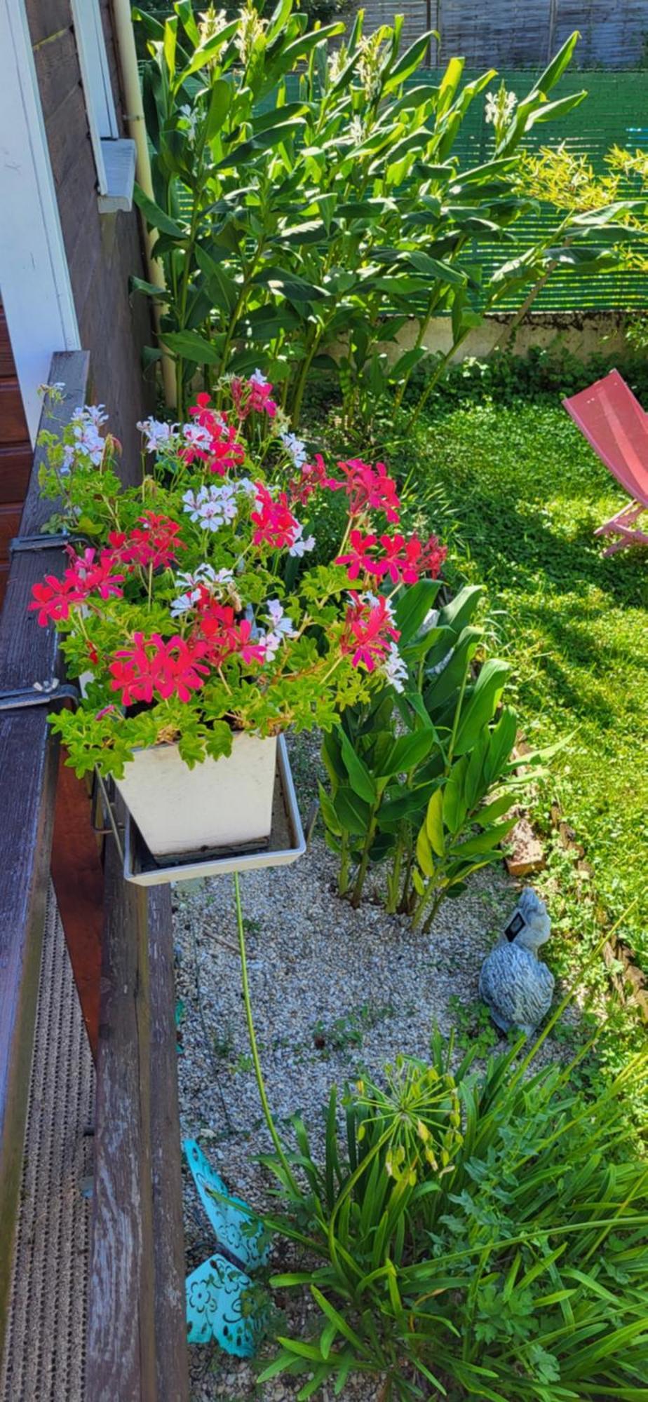 Gite La Melodie Longueville  Luaran gambar