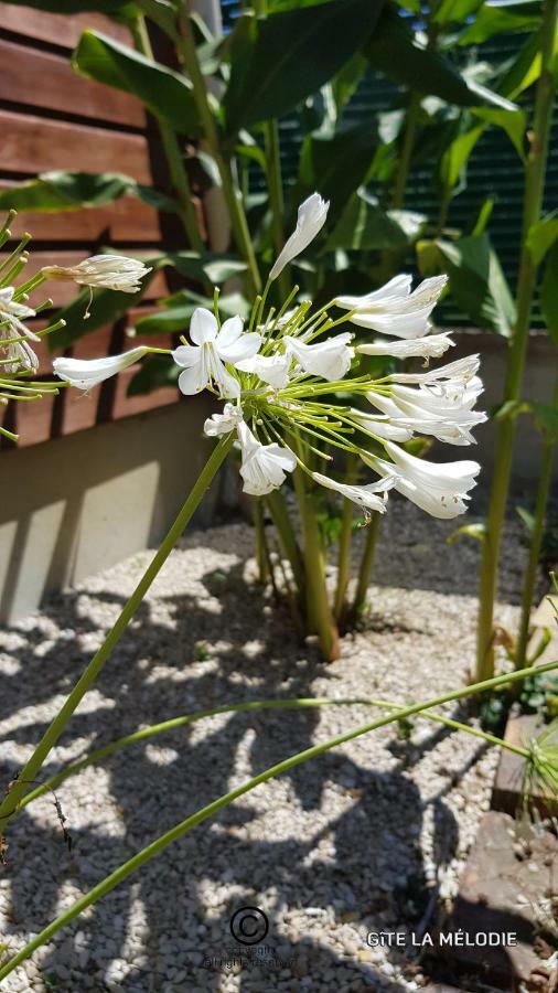 Gite La Melodie Longueville  Luaran gambar